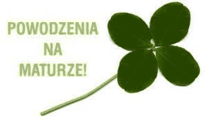 Samotna koniczyna powodzenia na maturze